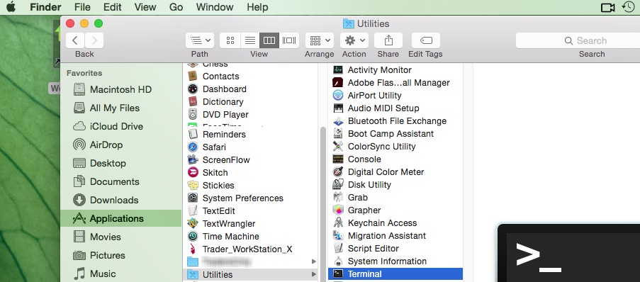 The finder termainal on Mac. 